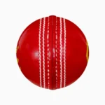 Cricket Ball
