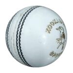 Cricket Ball