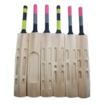 Cricket Bat